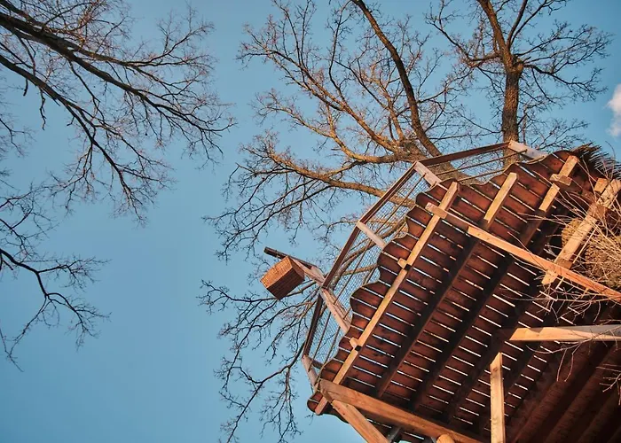 Treehouse Křemílek Alojamento de Turismo Selvagem